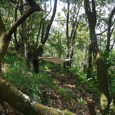 Nature Inn Madeira - Glamping Porto Moniz Ngoại thất bức ảnh