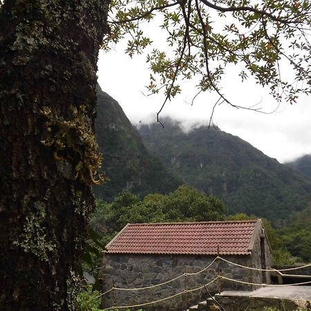 Nature Inn Madeira - Glamping Porto Moniz Ngoại thất bức ảnh