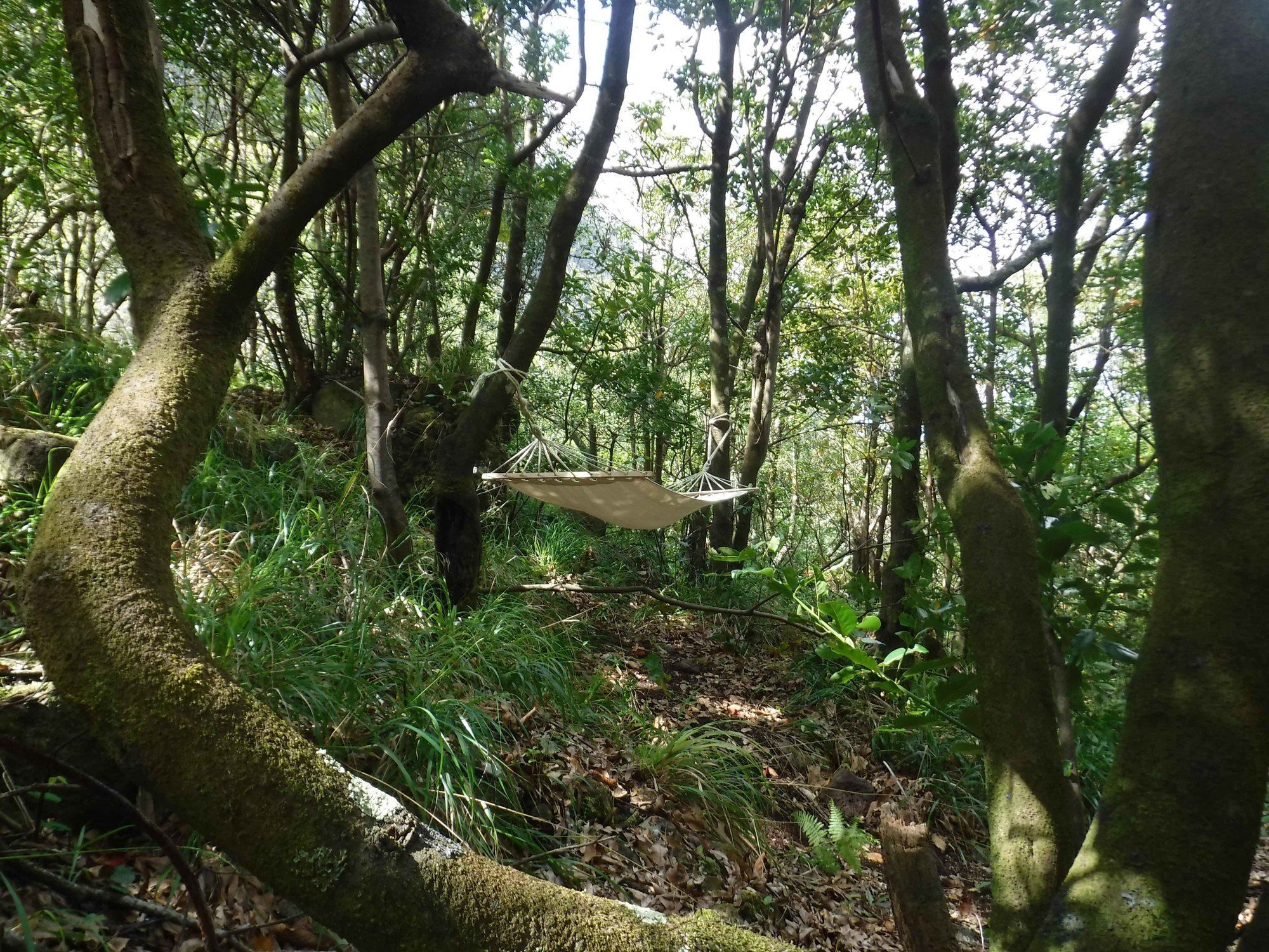 Nature Inn Madeira - Glamping Porto Moniz Ngoại thất bức ảnh