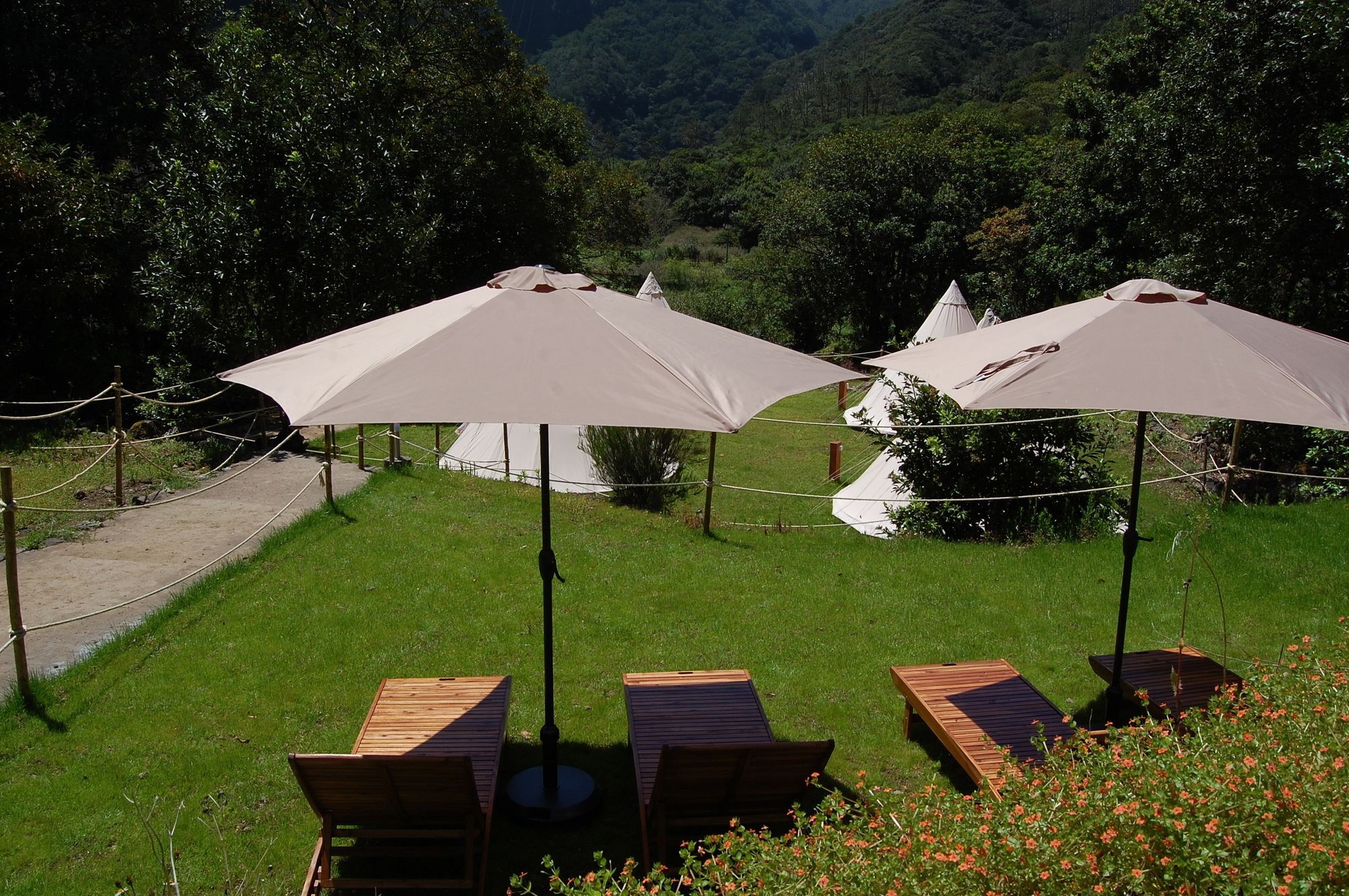 Nature Inn Madeira - Glamping Porto Moniz Ngoại thất bức ảnh