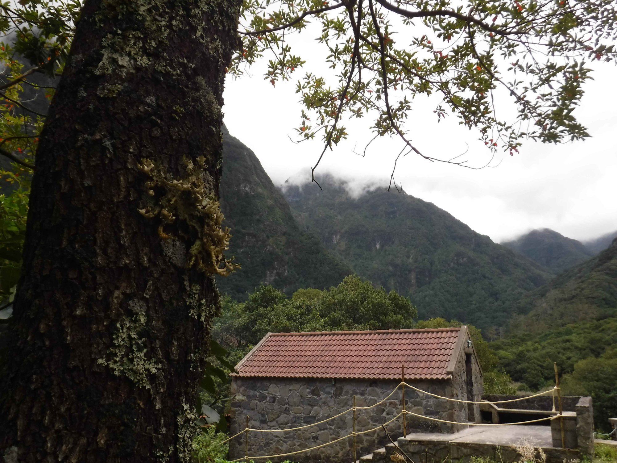 Nature Inn Madeira - Glamping Porto Moniz Ngoại thất bức ảnh